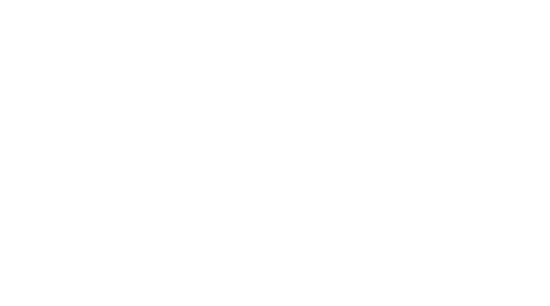 EVE Security Platform logo